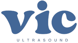 Vaishnavi Imaging Center Logo