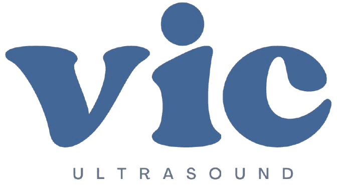 Vaishnavi Imaging Center Logo